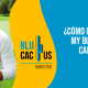 BluCactus Colombia - ¿Cómo configurar Google My Business para los campos de golf?