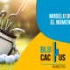 BluCactus Colombia - Modelo de negocio para aumentar el número de socios en los clubs de Golf
