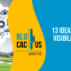 BluCactus Colombia - 13 ideas para aumentar la visibilidad de los campos de golf