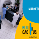 BluCactus - Marketing digital para clínicas de adicciones