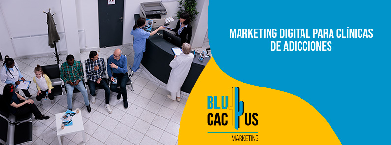BluCactus – Marketing digital para clínicas de adicciones BluCactus - Marketing digital para clínicas de adicciones