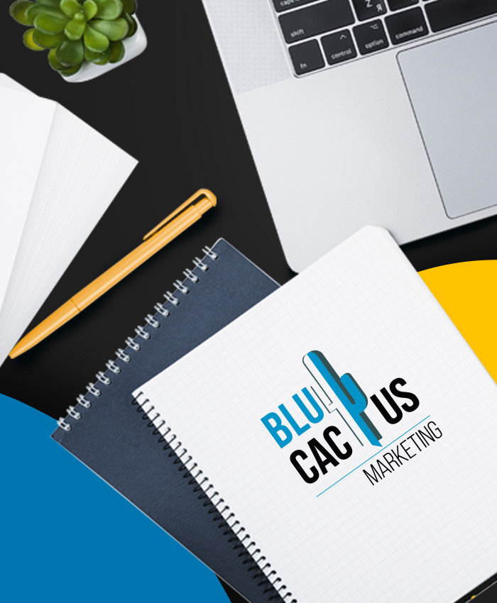 BluCactus-Diseno-Web-Design- BluCactus - Agencia de Google Ads en Alicante