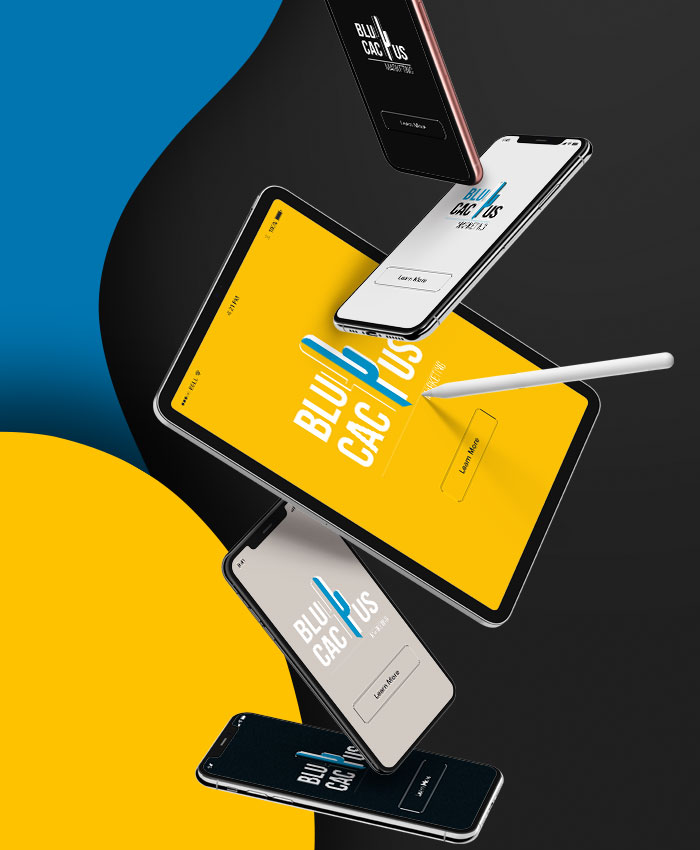 BluCactus-Diseno-Web-Responsivo-Web-desing BluCactus - Agencia de Google Ads en Alicante