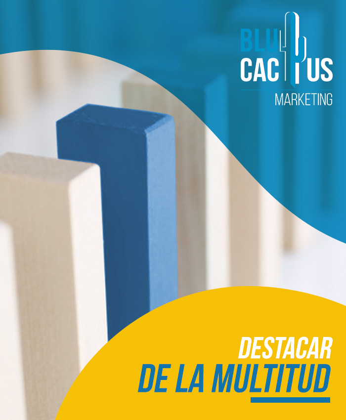 BluCactus-Diseño-de-Presentaciones-BluCactus-te-hace-destacar-entre-la-multitud BluCactus - Agencia de Google Ads en Alicante