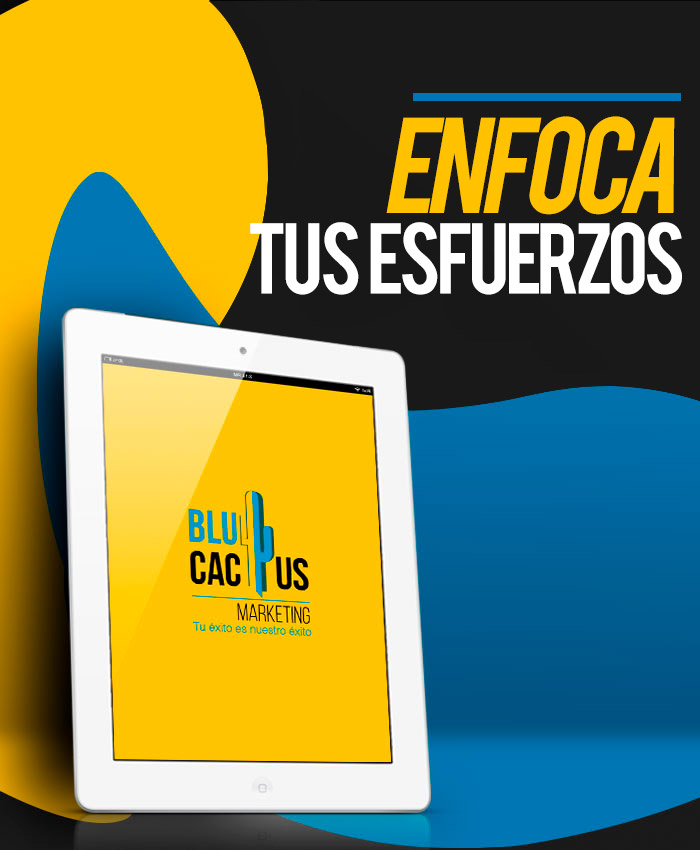 BluCactus-El-Diseno-Web-creativo-mejora-su-imagen-corporativa-Web-desing BluCactus - Agencia de Google Ads en Alicante