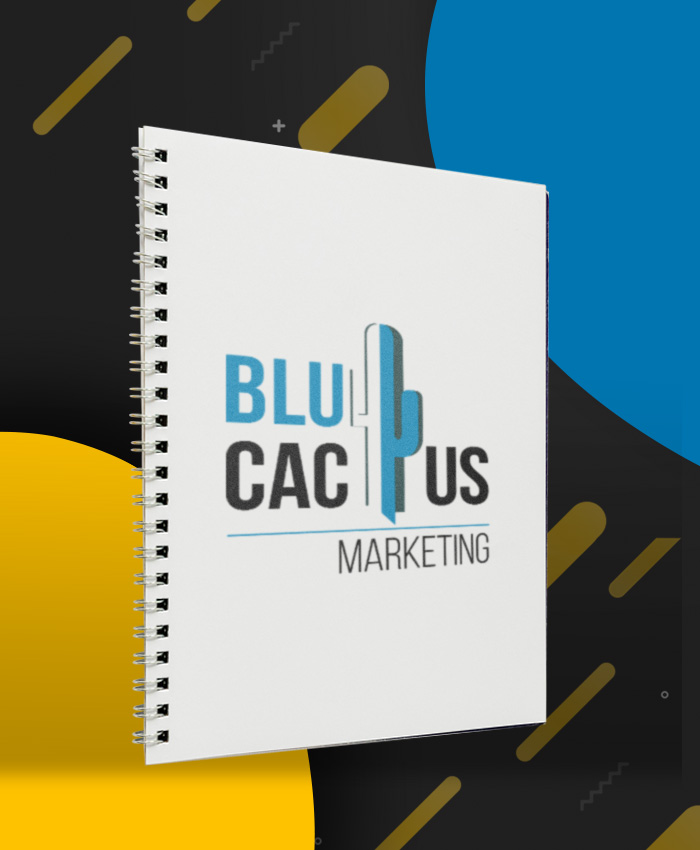 BluCactus-Redaccion-de-Contenido-Web-desing BluCactus - Agencia de Google Ads en Alicante
