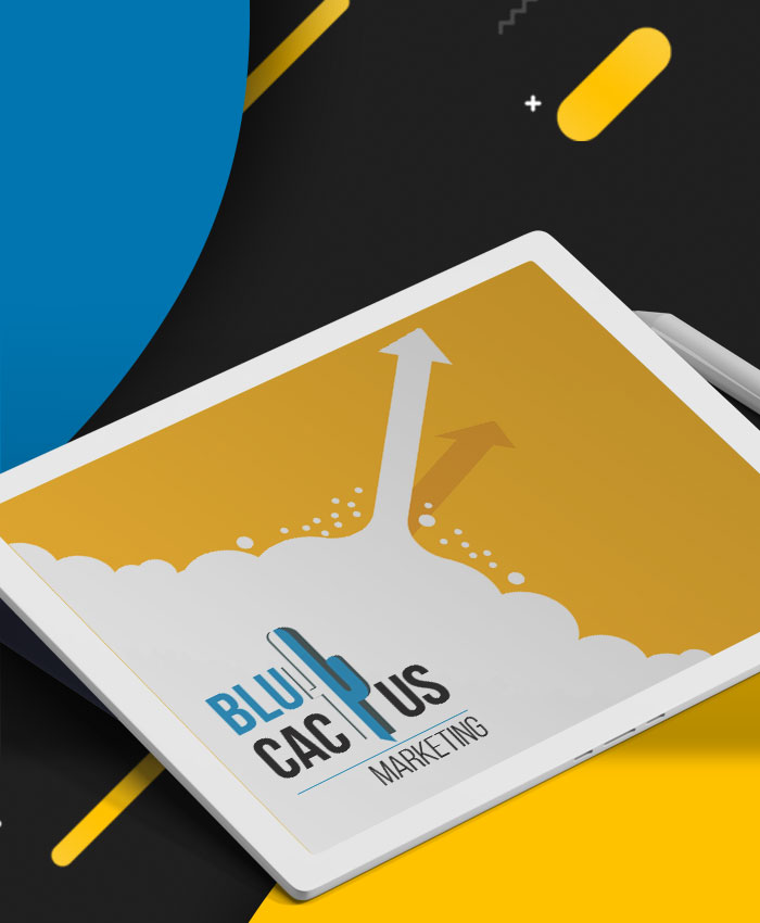 BluCactus-Velocidad-de-carga-de-la-pagina-Web-desing BluCactus - Agencia de Google Ads en Alicante