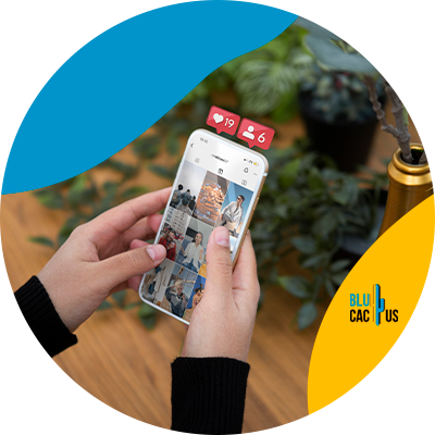 BluCactus Colombia - manejo de redes sociales para crecimiento empresarial