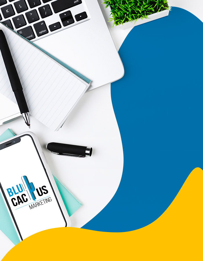 BluCactus-una-agencia-atractiva-de-marketing-de-redes-sociales-de-primera-impresion BluCactus - Agencia de Google Ads en Alicante