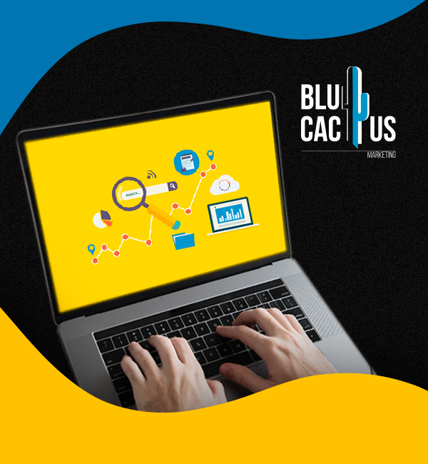 Blucactus-Colombia-Agencia-SEO-11 BluCactus - Agencia de Google Ads en Alicante