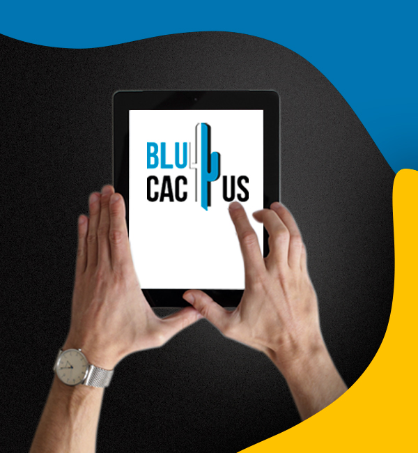 BluCactus - Agencia de Google Ads en Alicante