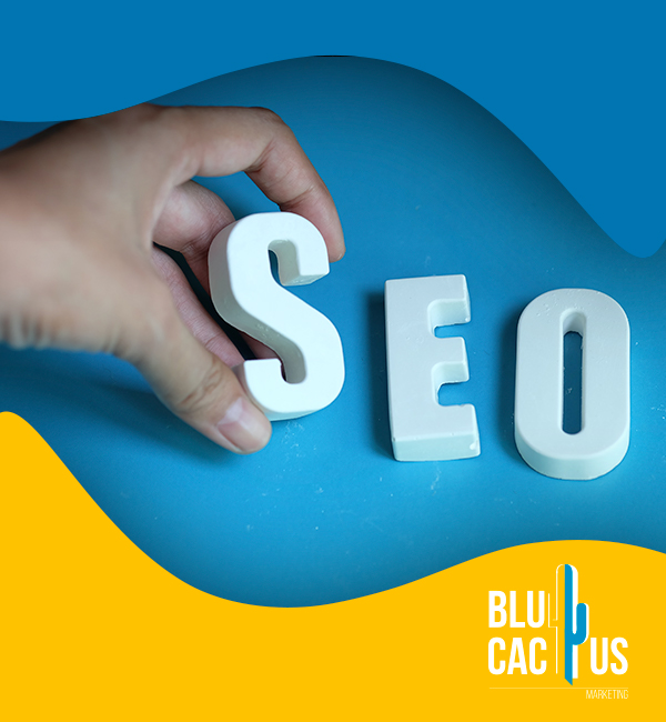 BluCactus - Agencia de Google Ads en Alicante