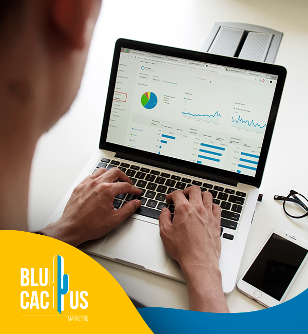 BluCactus - Agencia de Google Ads en Alicante