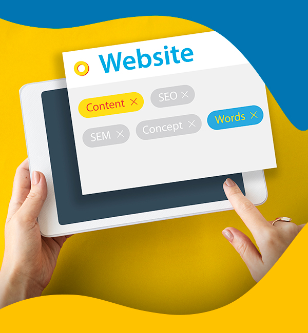 Blucactus-Colombia-Agencia-SEO-8 BluCactus - Agencia de Google Ads en Alicante