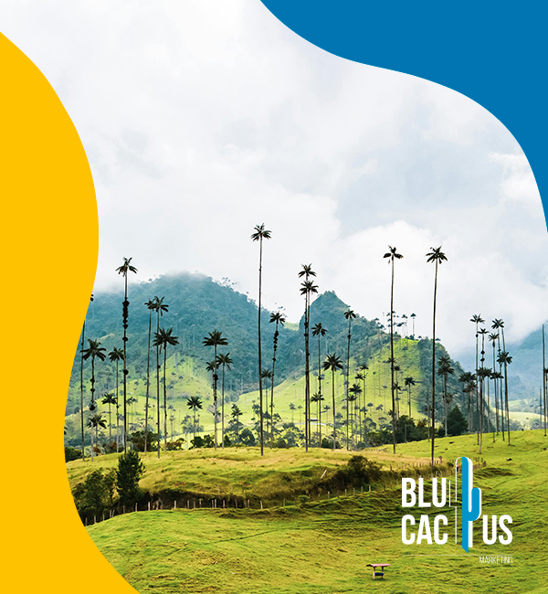 BluCactus - Agencia de Google Ads en Alicante