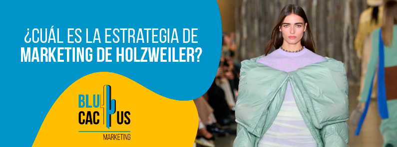 Blucactus-Cual-es-la-estrategia-de-marketing-de-Holzweiler-portada Blucactus Colombia - ¿Cuál es la estrategia de marketing de Holzweiler? - portada