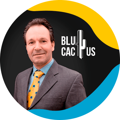 Blucactus-Ken BluCactus - Agencia de Google Ads en Alicante