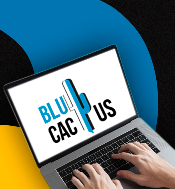Blucactus-Mexico-Agencia-SEO-por-ciudad-Tijuana-48 BluCactus - Agencia de Google Ads en Alicante