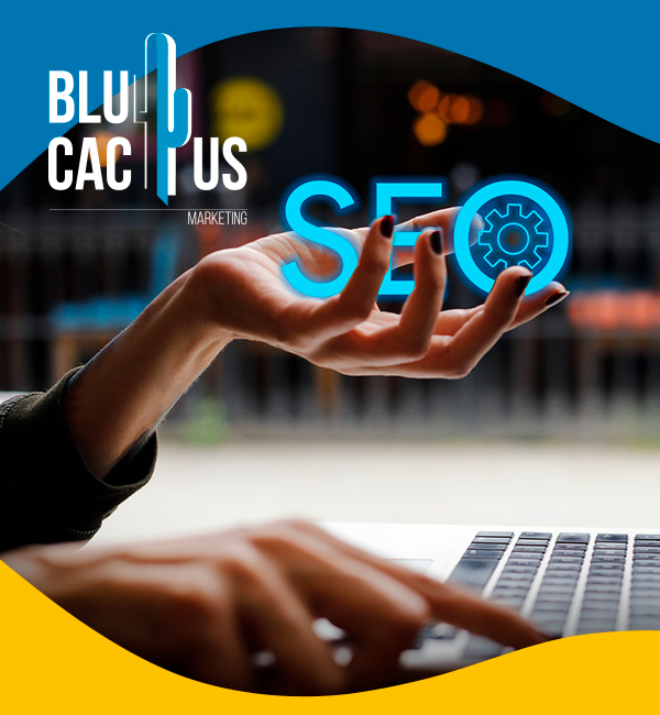 Blucactus-Mexico-Agencia-SEO-por-ciudad-Tijuana-53 BluCactus - Agencia de Google Ads en Guadalajara - smartphone