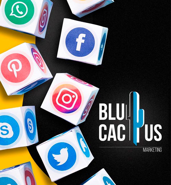 Blucactus-Mexico-Manejo-de-redes-sociales-2 BluCactus - Agencia de Google Ads en Alicante