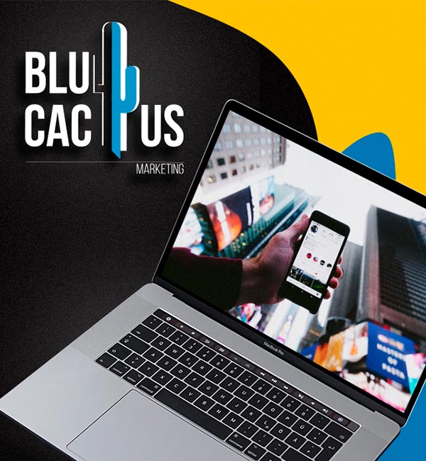 BluCactus - Agencia de Google Ads en Alicante