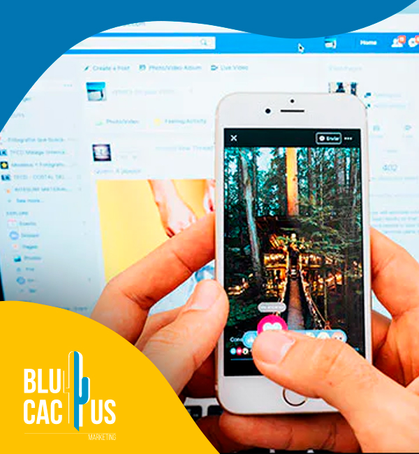 BluCactus - Agencia de Google Ads en Alicante
