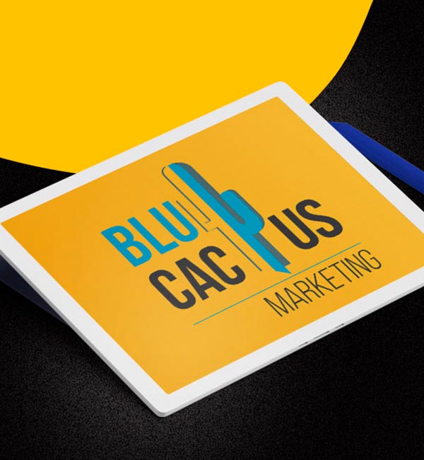 blucactus-colombia-manejo-de-servicios-7 BluCactus - Agencia de Google Ads en Guadalajara - smartphone