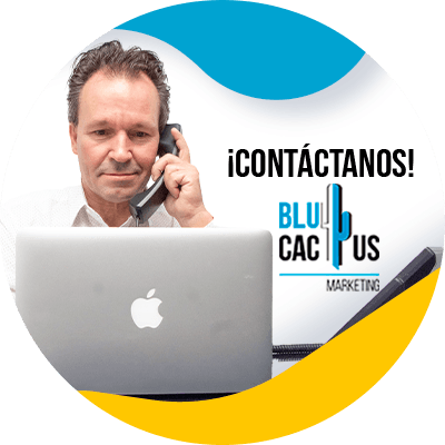 Blucactus-contactanos-6 BluCactus - contacto - Ken Schreck