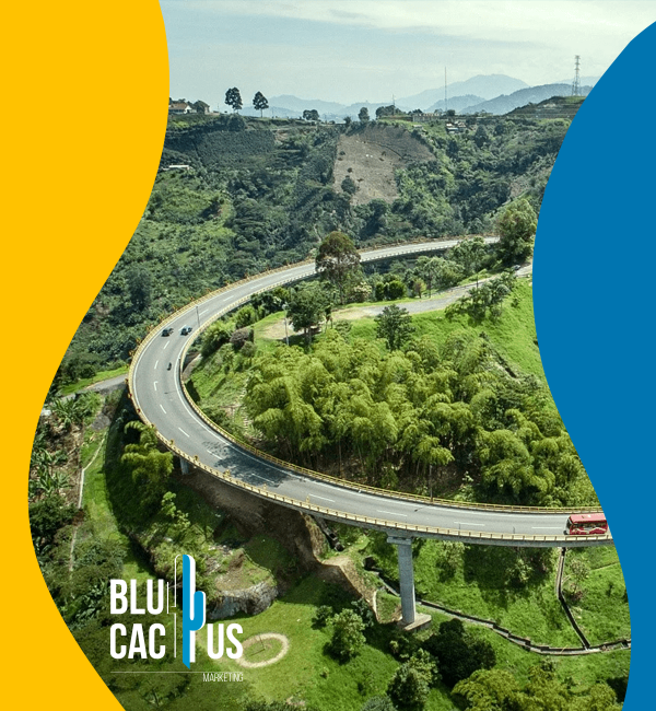 blucactus-colombia-agencia-de-google-ads-dosquebradas-2 BluCactus - Agencia de Google Ads en Alicante