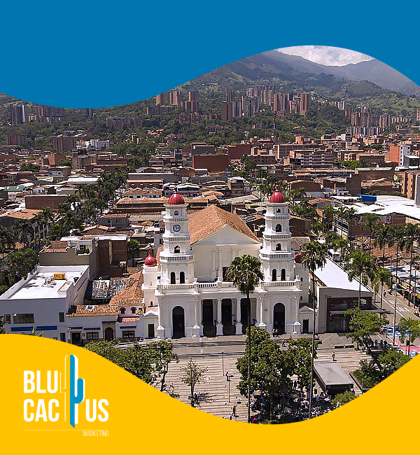 blucactus-colombia-agencia-de-google-ads-en-envigado-1 BluCactus - Agencia de Google Ads en Alicante