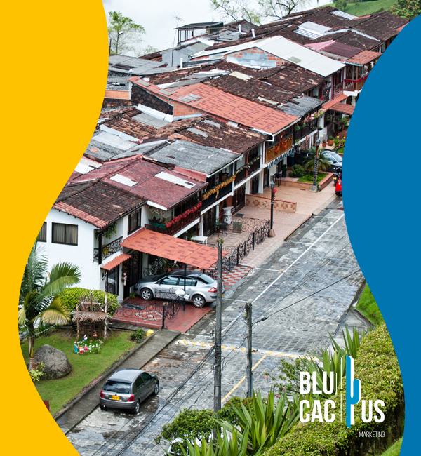 blucactus-colombia-agencia-de-google-ads-en-manizales-2 BluCactus - Agencia de Google Ads en Alicante
