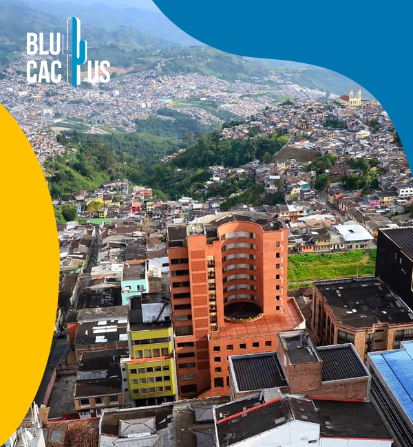 blucactus-colombia-agencia-de-google-ads-en-manizales-3 BluCactus - Agencia de Google Ads en Alicante - playas autoctonas