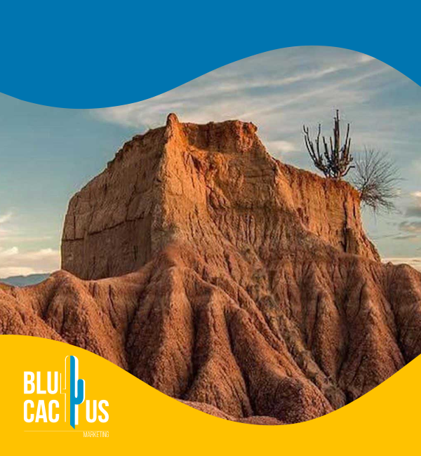 blucactus-colombia-agencia-de-google-ads-en-neiva-1 BluCactus - Agencia de Google Ads en Alicante - playas autoctonas