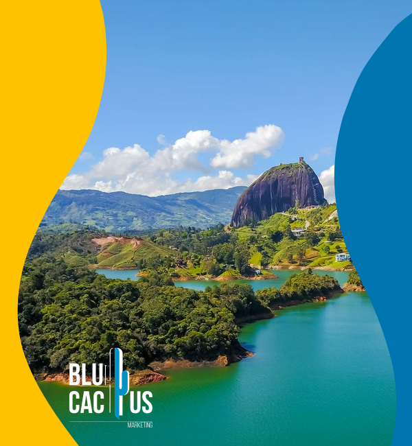 blucactus-colombia-agencia-de-google-ads-en-neiva-2 BluCactus - Agencia de Google Ads en Alicante