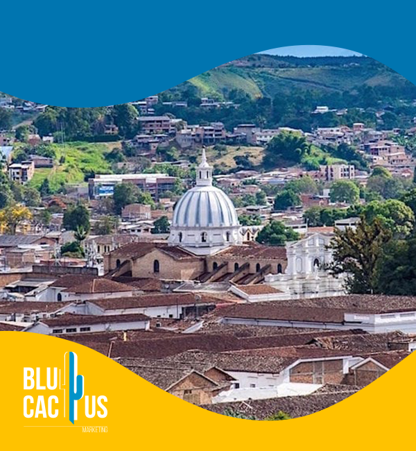 blucactus-colombia-agencia-de-google-ads-en-popayan-1 BluCactus - Agencia de Google Ads en Alicante - playas autoctonas