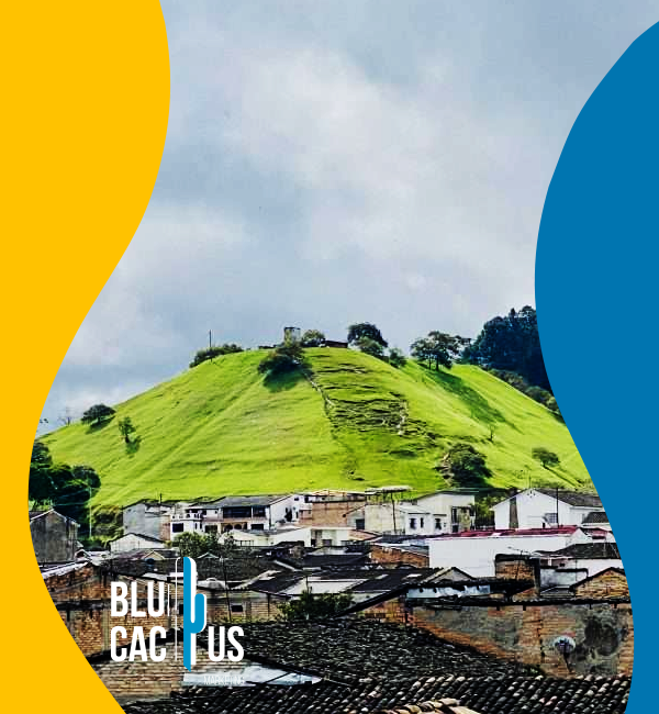 blucactus-colombia-agencia-de-google-ads-en-popayan-2 BluCactus - Agencia de Google Ads en Alicante