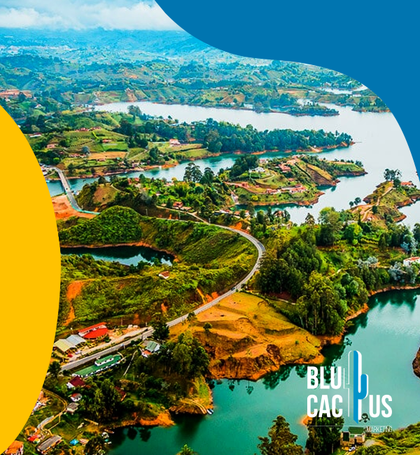 blucactus-colombia-agencia-de-google-ads-en-popayan-3 BluCactus - Agencia de Google Ads en Alicante