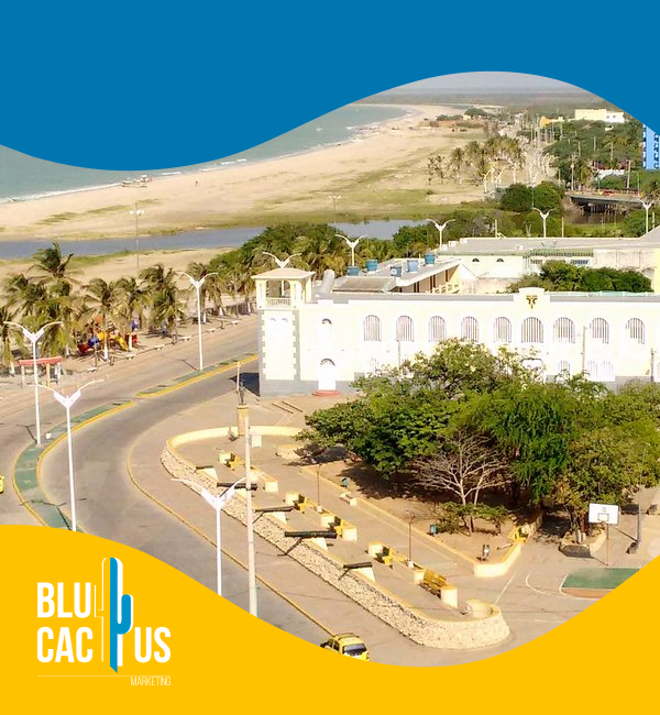 BluCactus - Agencia de Google Ads en Alicante