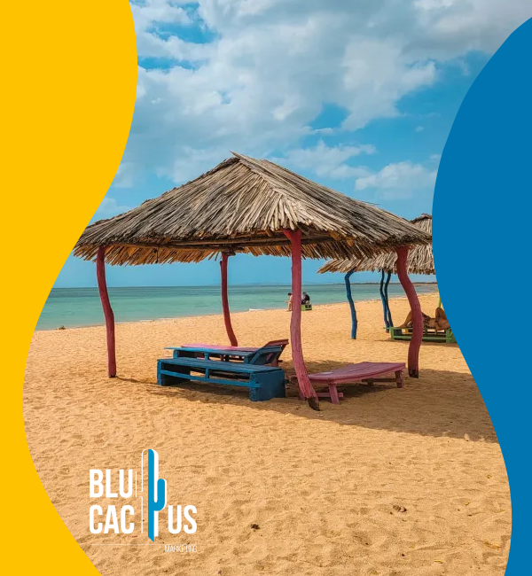 BluCactus - Agencia de Google Ads en Alicante - playas autoctonas