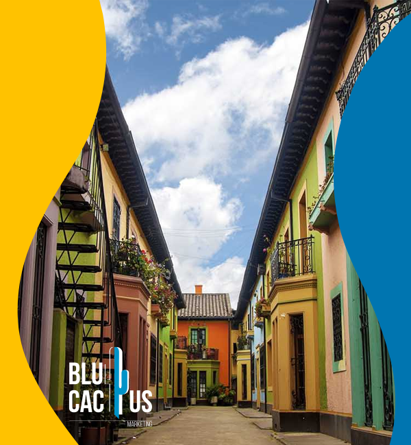 blucactus-colombia-servicios-bogota-5 BluCactus - Agencia de Google Ads en Alicante