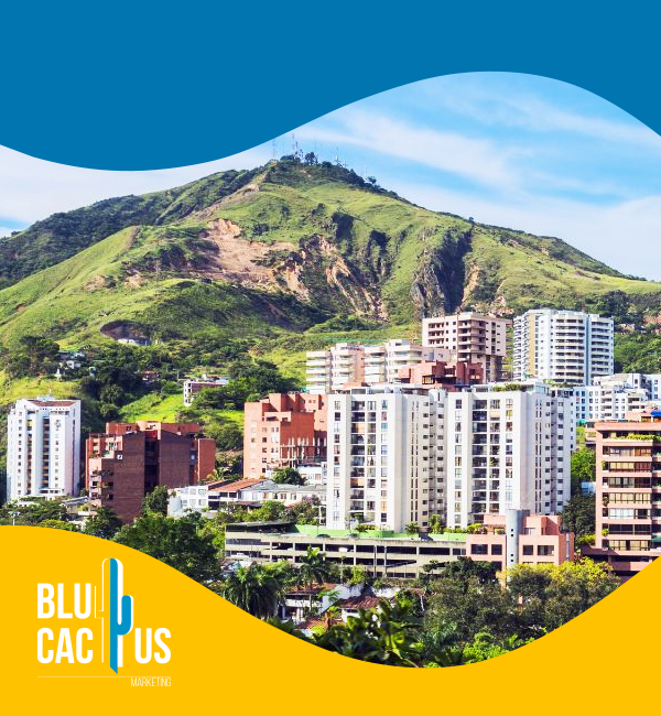 blucactus-colombia-servicios-cali-1 BluCactus - Agencia de Google Ads en Alicante