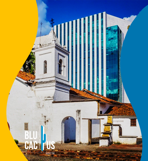 blucactus-colombia-servicios-cali-2 BluCactus - Agencia de Google Ads en Alicante