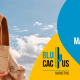 Blucactus Colombia - ¿Cuál es la estrategia de marketing de Geox? - portada