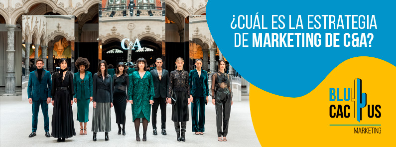 Blucactus-Cuál es la estrategia de marketing de C&A-portada blucactus Argentina - ¿Cuál es la estrategia de marketing de C&A?