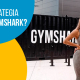 Blucactus Colombia - ¿Cuál es la estrategia de marketing de Gymshark? - portada