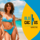 Blucactus Colombia - ¿Cuál es la estrategia de marketing de Calzedonia? - portada