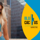 Blucactus Colombia - ¿Cuál es la estrategia de marketing de Alphalete? - portada