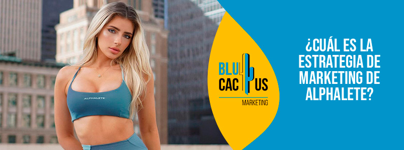 Blucactus Colombia - ¿Cuál es la estrategia de marketing de Alphalete? - portada