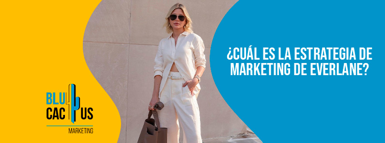 Blucactus Colombia - ¿Cuál es la estrategia de marketing de Everlane? - portada