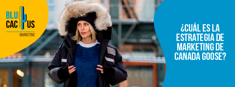 Blucactus-Cu+íl es la estrategia de marketing de Canada Goose-portada Blucactus Colombia -¿Cuál es la estrategia de marketing de Canada Goose? - portada